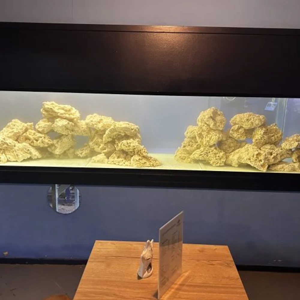 aquazoo-leerdam-zeeaquarium-2