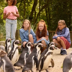 aquazoo-leeuwarden-1