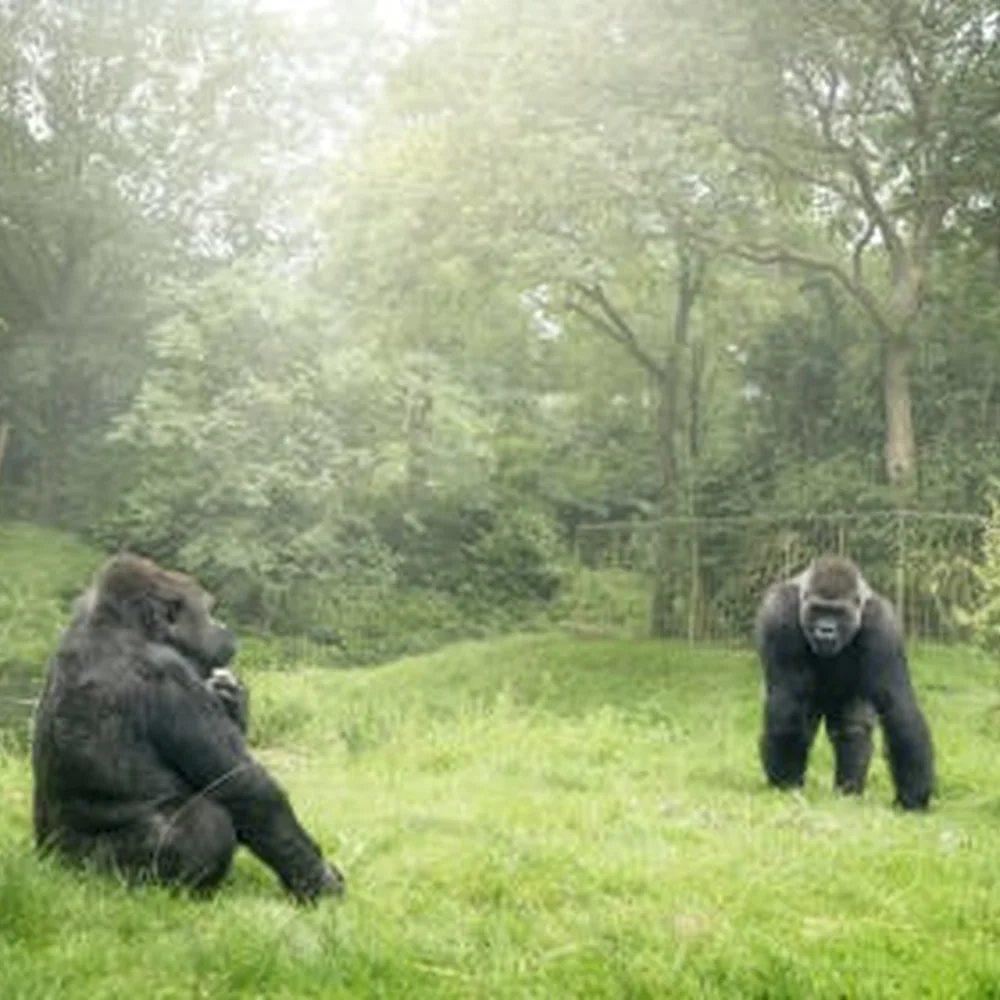 burgers-zoo-2