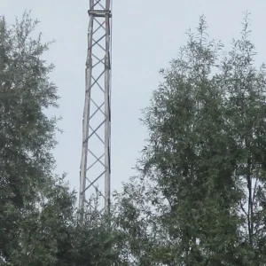Uitkijktoren tussen de bomen bij De Brielmeersen