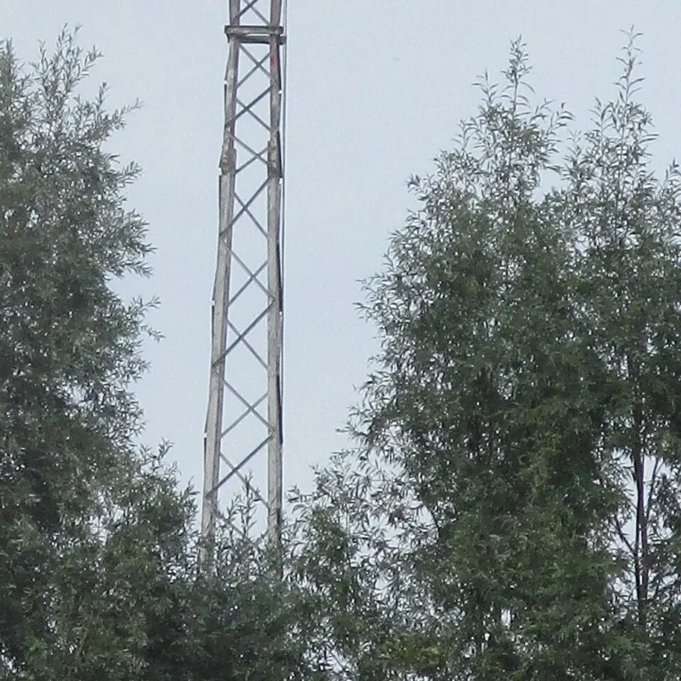 Dierenpark De Brielmeersen