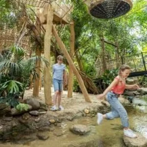 jungle-dome-het-heijderbos-1