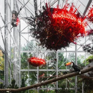 Vogelverblijf met rode decoratie bij LABIOMISTA