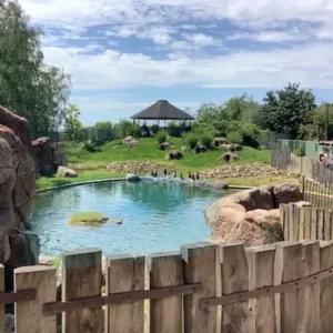 Dierenverblijf met vijver bij Le Monde Sauvage