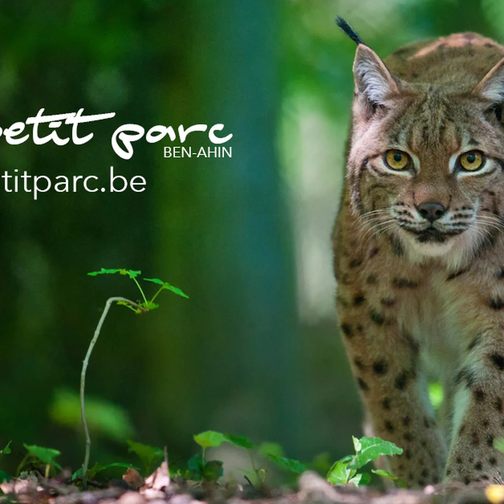 le-petit-parc-3