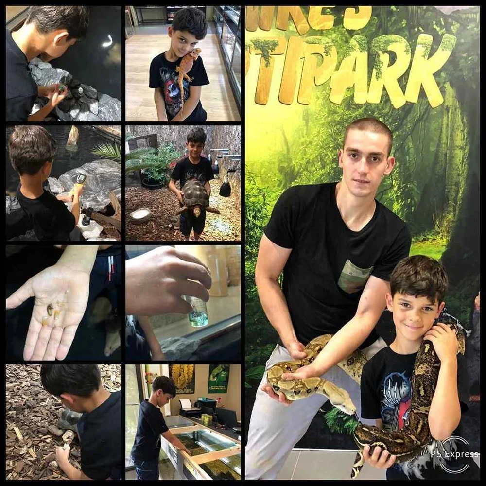 mikes-reptipark-2