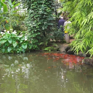 mondo-verde-commons-1