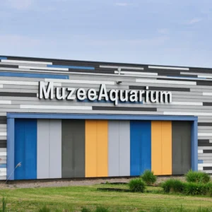 muzeeaquarium-1