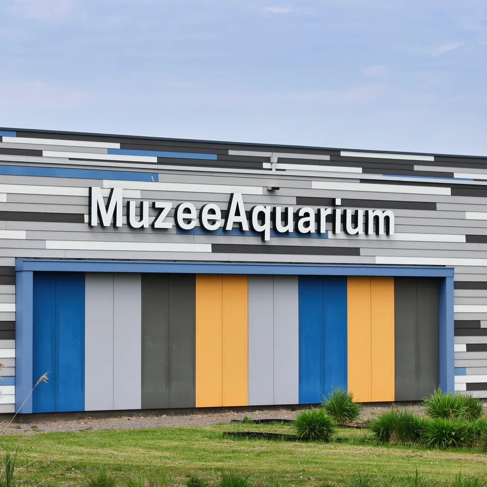 muzeeaquarium-1
