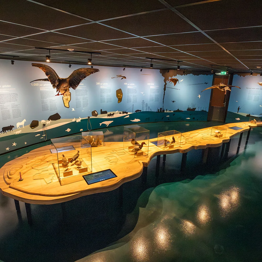 natuurcentrum-ameland-3