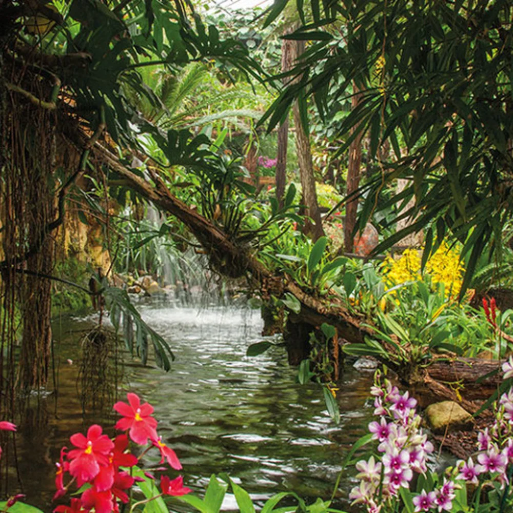 pantropica-2