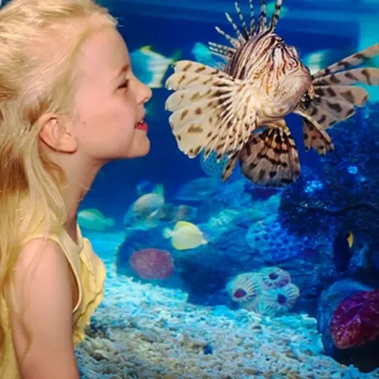 SEA LIFE Blankenberge