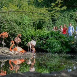 vogelpark-avifauna-1