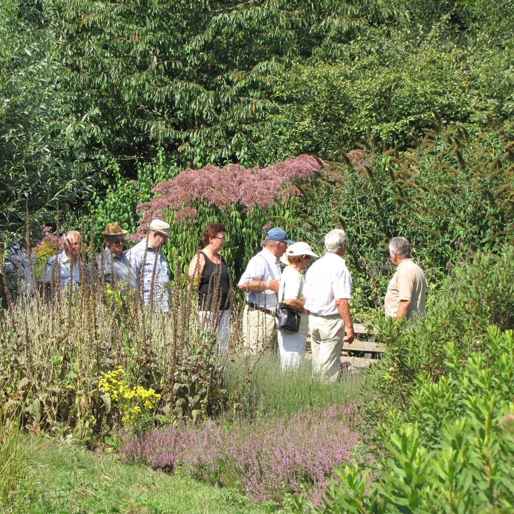 vogelrevalidatiecentrum-zundert-1