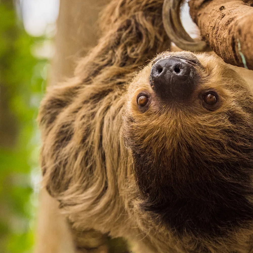 wildlands-adventure-zoo-emmen-2