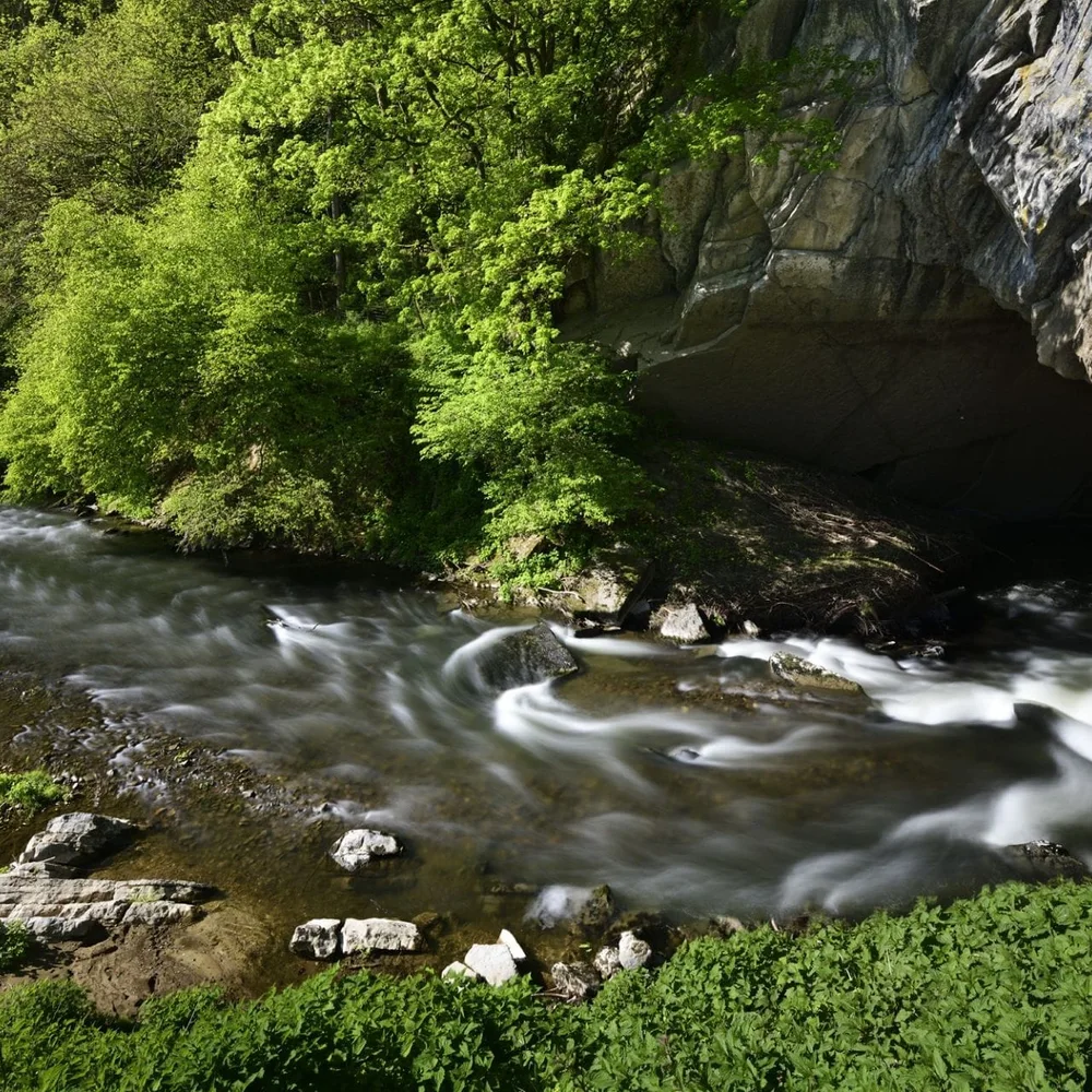 wildpark-van-de-grotten-van-han-3