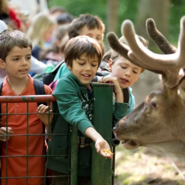 Zoölogisch park Massembre